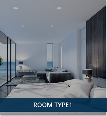 room_type1