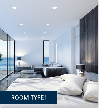 room_type1